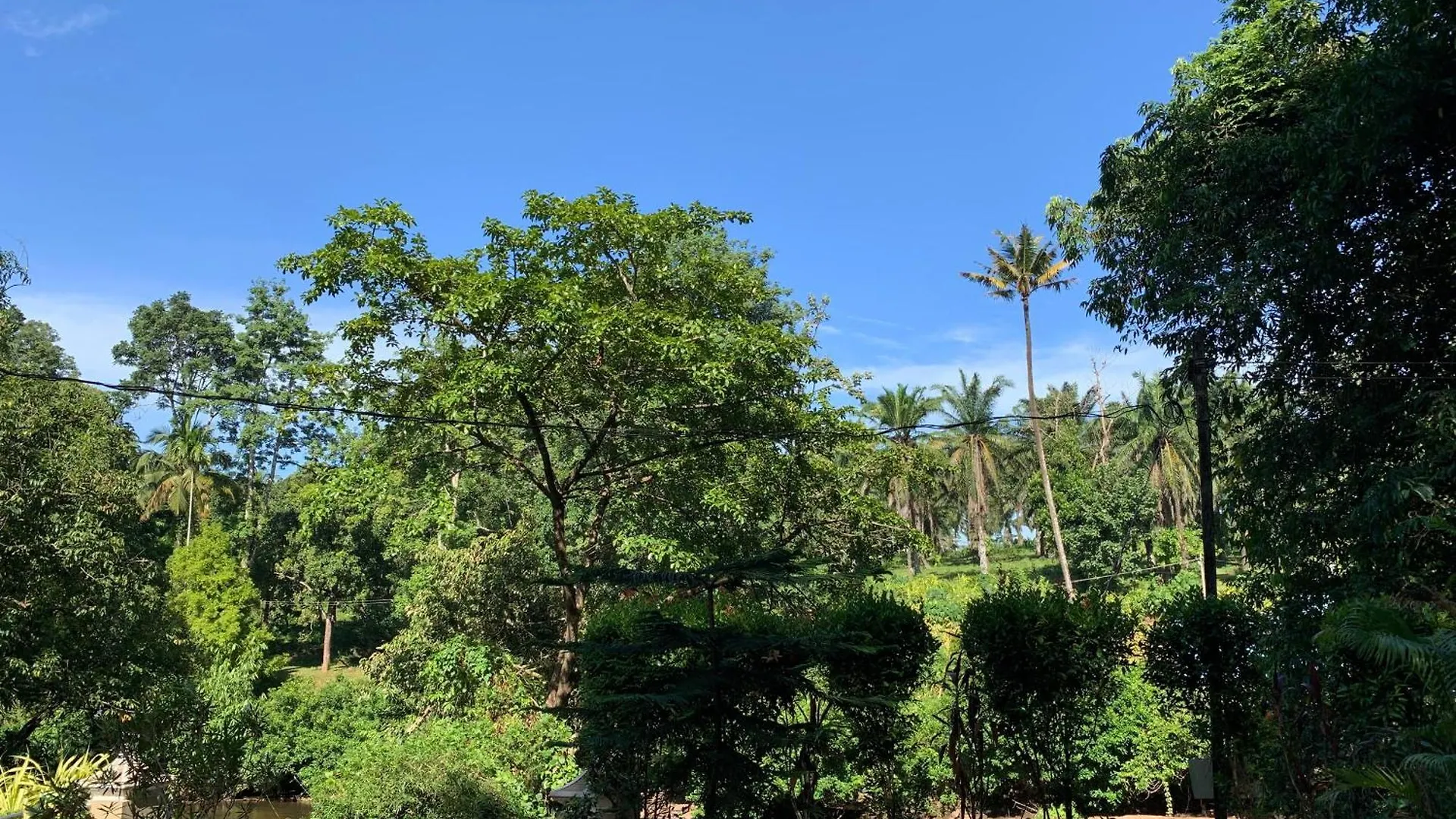 Gasthuis Athirapilly On The Rocks Hotel Athirappilly India