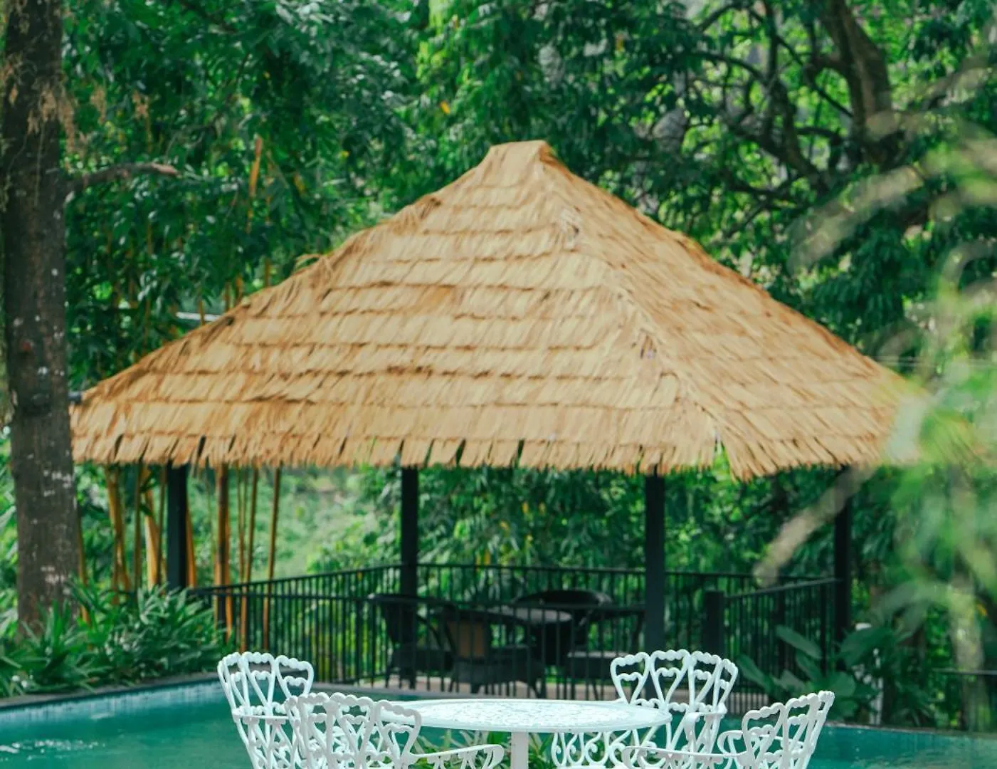 Athirapilly On The Rocks Hotel Athirappilly